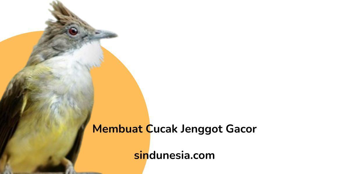 Situs Gacor Anti Rungkat: Tips Agar Burung Tetap Aktif